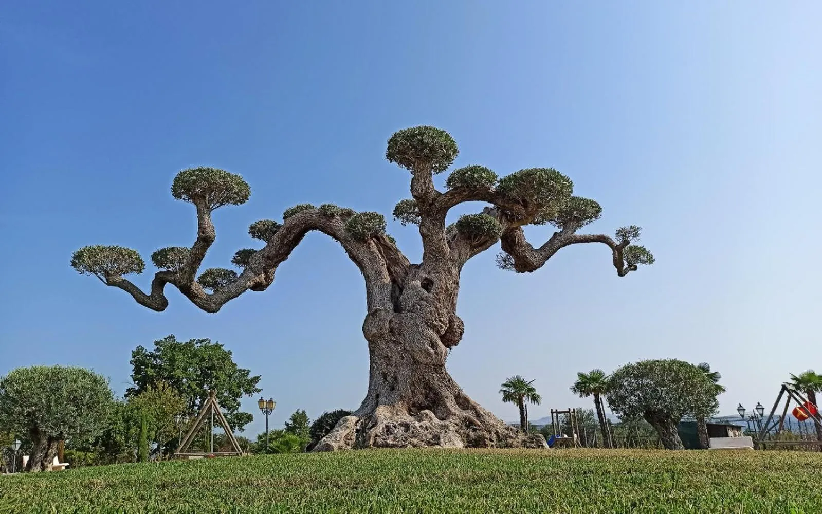 Tenuta Quisisana - 14